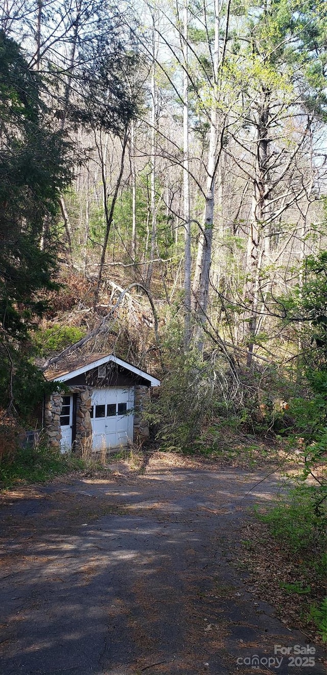 31 Samuel Ln, Candler, NC 28715 - garage with dirt driveway and a forest view