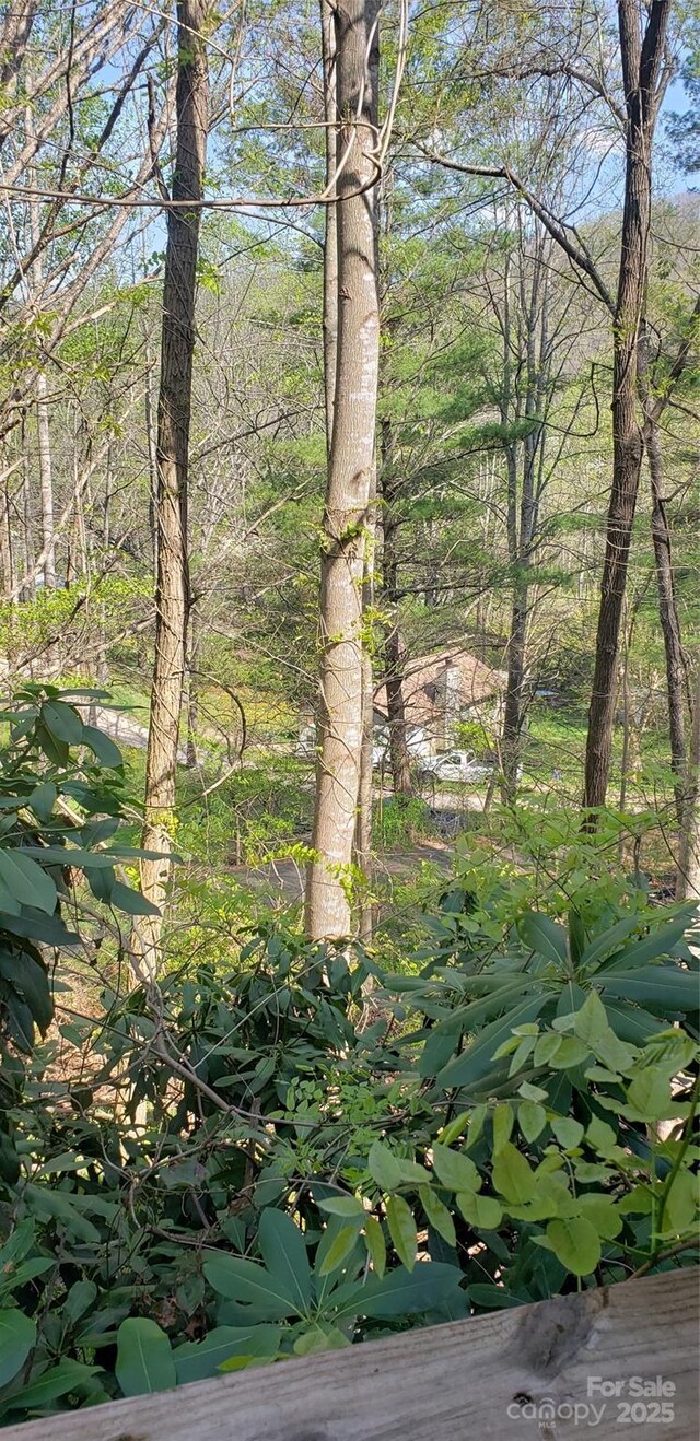 31 Samuel Ln, Candler, NC 28715 - view of undeveloped land