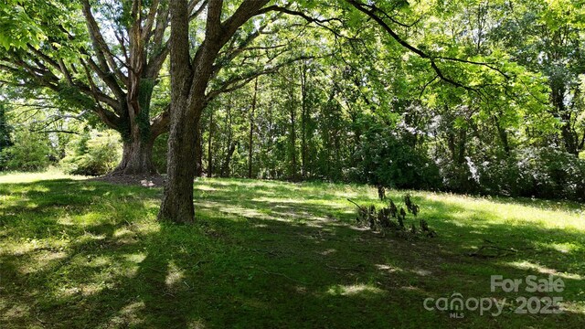 2645 Kool Park Rd NE, Hickory, NC 28601 - photo 5