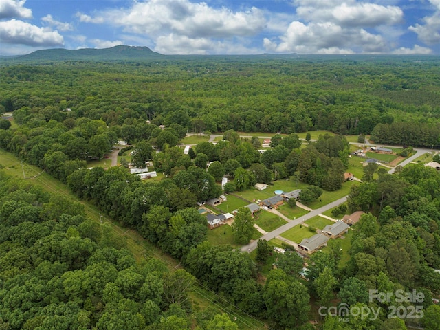 1040 Spring Dr, Gastonia, NC 28052 - photo 39