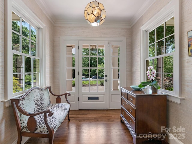 2410 Vernon Dr, Charlotte, NC 28211 - entryway with healthy amount of natural light, ornamental molding, and dark wood-style floors