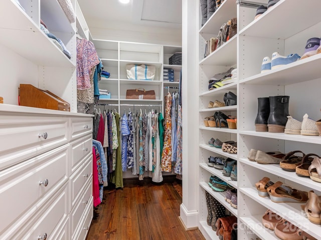 2410 Vernon Dr, Charlotte, NC 28211 - walk in closet with dark wood finished floors