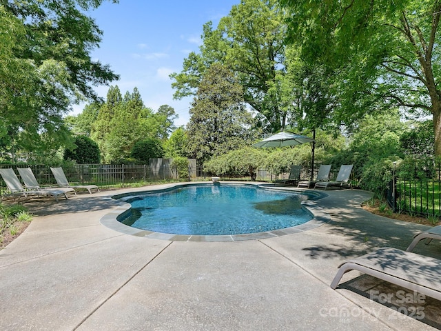 2410 Vernon Dr, Charlotte, NC 28211 - view of swimming pool with a patio area and view of wooded area