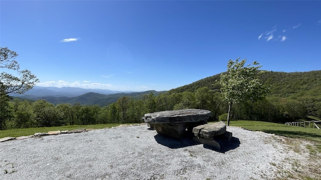 973 Sitting Rock Trl, Cullowhee, NC 28723 - view of mountain background with a heavily wooded area