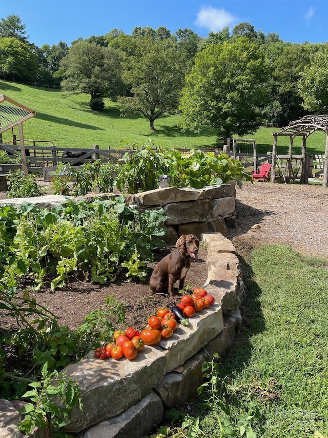 973 Sitting Rock Trl, Cullowhee, NC 28723 - view of yard