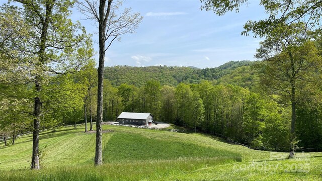 973 Sitting Rock Trl, Cullowhee, NC 28723 - view of green lawn featuring a wooded view