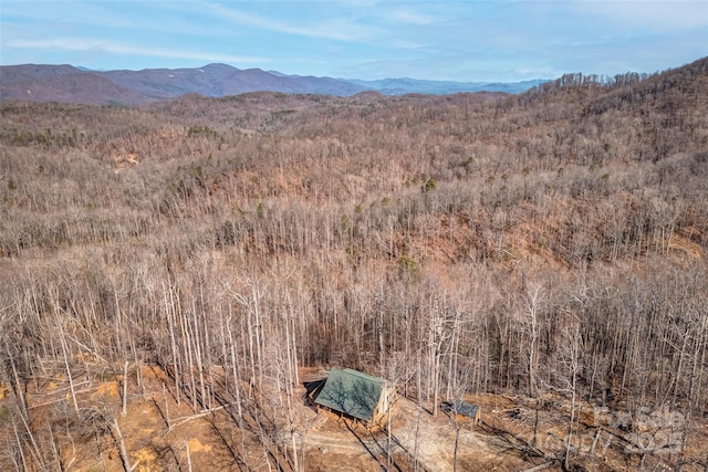 178 Tablerock Dr, Saluda, NC 28773 - view of mountain background with a heavily wooded area