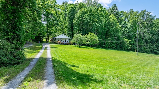 715 Broadway St NW, Lenoir, NC 28645 - view of green lawn featuring dirt driveway and a view of trees
