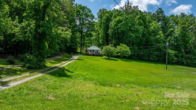 715 Broadway St NW, Lenoir, NC 28645 - view of grassy yard with driveway
