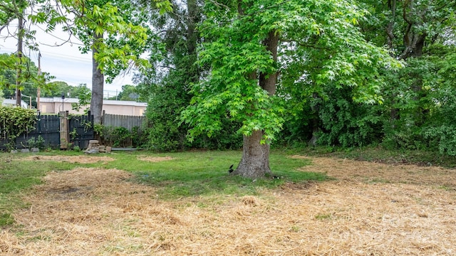 view of yard featuring fence
