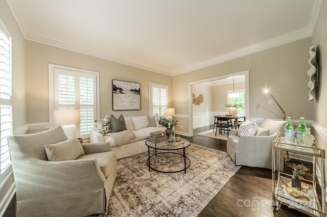 2907 Notchview Ct, Charlotte, NC 28210 - living room featuring dark wood-style flooring and crown molding