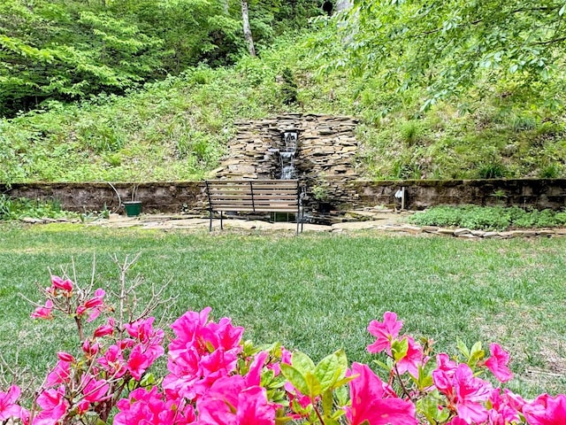 421 Ramp Patch Ln, Waynesville, NC 28786 - view of yard
