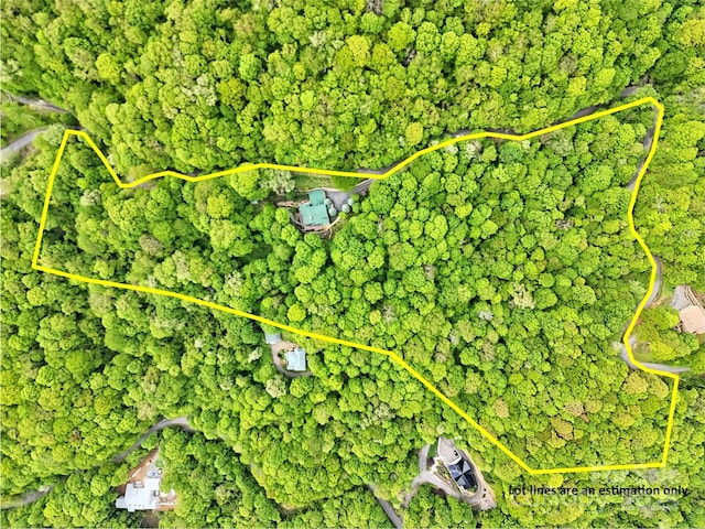421 Ramp Patch Ln, Waynesville, NC 28786 - map / location featuring property parcel outlined