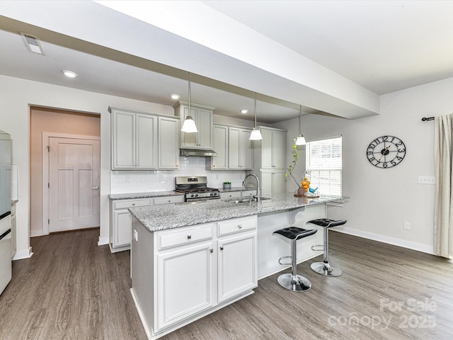 3023 Ballester Rd, Fort Mill, SC 29707 - kitchen with stainless steel range with gas stovetop, a sink, dark wood-style floors, tasteful backsplash, and recessed lighting