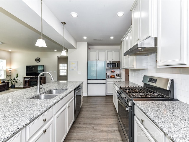 3023 Ballester Rd, Fort Mill, SC 29707 - kitchen featuring stainless steel appliances, under cabinet range hood, a sink, decorative backsplash, and dark wood-style floors