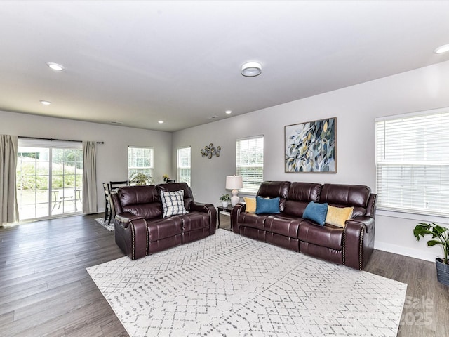 3023 Ballester Rd, Fort Mill, SC 29707 - living room featuring wood finished floors, baseboards, and recessed lighting