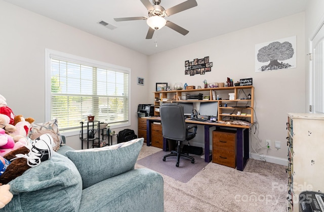 office area with ceiling fan, carpet, and baseboards
