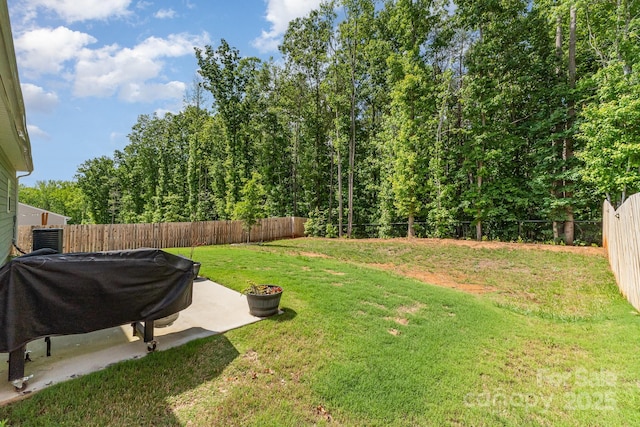 view of yard featuring a patio