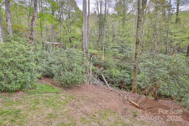 1077 Hicks Rd Unit B, Highlands, NC 28741 - view of yard featuring a view of trees