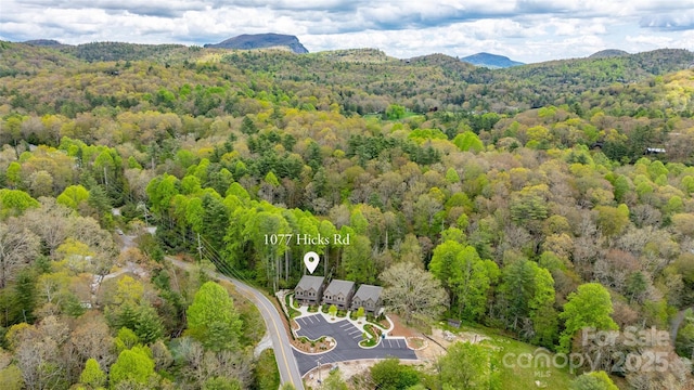 1077 Hicks Rd Unit B, Highlands, NC 28741 - bird's eye view of a forest and a mountainous background