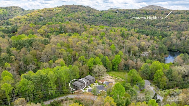 1077 Hicks Rd Unit B, Highlands, NC 28741 - aerial view of a heavily wooded area and a water and mountain view