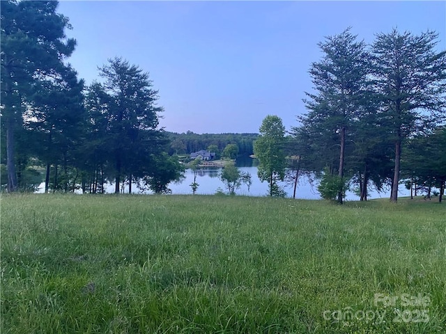 000 Mapleton Ln Unit 6, Columbus, NC 28722 - water view