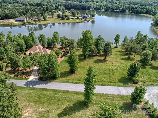 000 Mapleton Ln Unit 6, Columbus, NC 28722 - bird's eye view of a large body of water and a forest