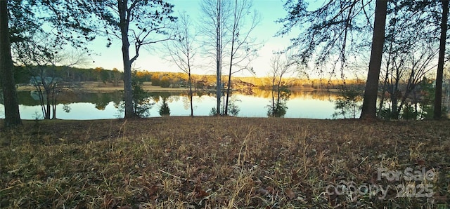000 Mapleton Ln Unit 6, Columbus, NC 28722 - water view