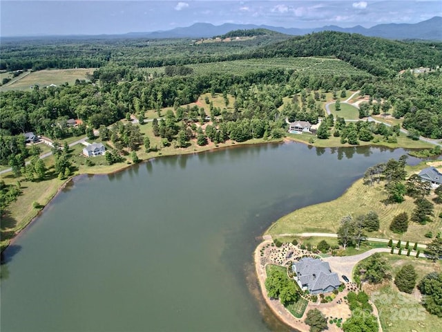 000 Mapleton Ln Unit 6, Columbus, NC 28722 - aerial overview of property's location featuring a large body of water and a heavily wooded area