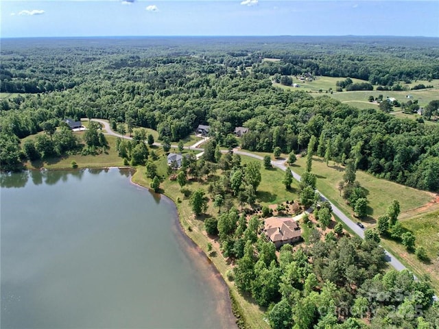 000 Mapleton Ln Unit 6, Columbus, NC 28722 - drone / aerial view of a forest and a large body of water