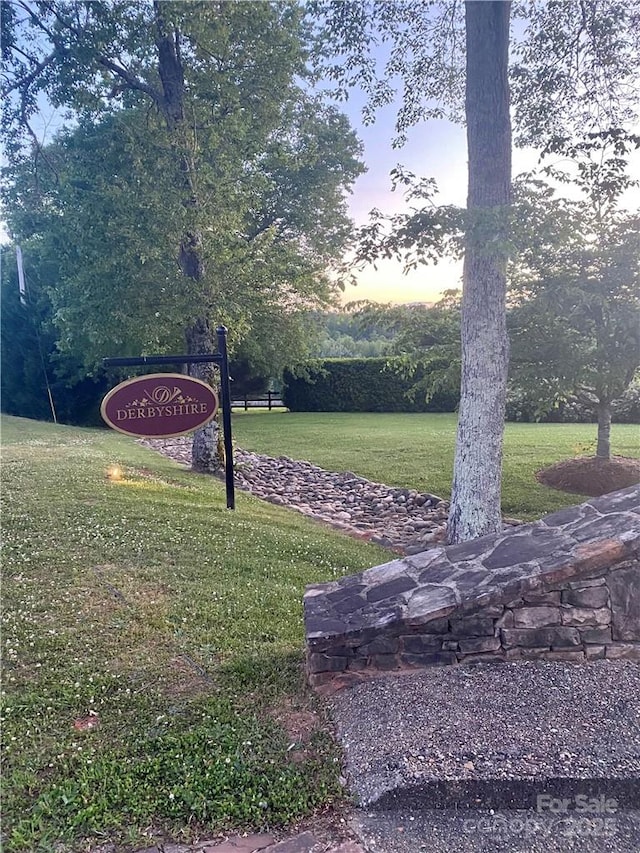 000 Mapleton Ln Unit 6, Columbus, NC 28722 - view of community featuring a lawn