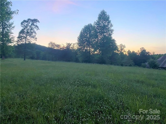 000 Mapleton Ln Unit 6, Columbus, NC 28722 - view of yard at dusk