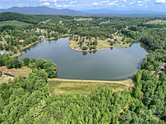 000 Mapleton Ln Unit 6, Columbus, NC 28722 - aerial overview of property's location with a forest and a large body of water