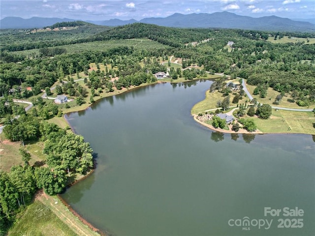 000 Mapleton Ln Unit 6, Columbus, NC 28722 - photo 15