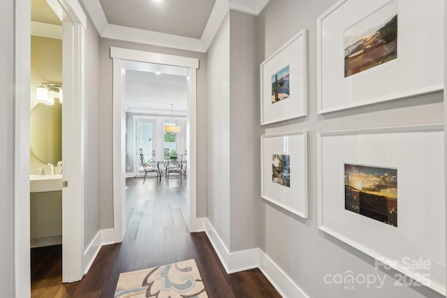 7908 Rea View Ct, Charlotte, NC 28226 - hall with dark wood-style floors and baseboards