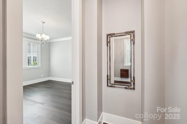 7908 Rea View Ct, Charlotte, NC 28226 - corridor with baseboards, a chandelier, dark wood-type flooring, and crown molding