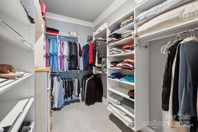 7908 Rea View Ct, Charlotte, NC 28226 - spacious closet featuring carpet flooring