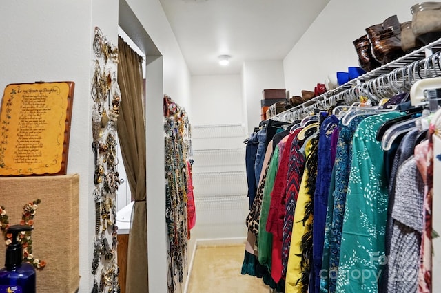1332 Waterlily Ln, Charlotte, NC 28262 - view of spacious closet