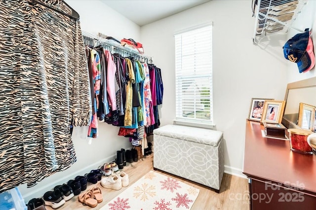 spacious closet featuring wood finished floors