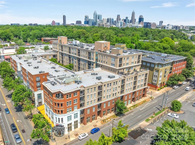 aerial view of a skyline view