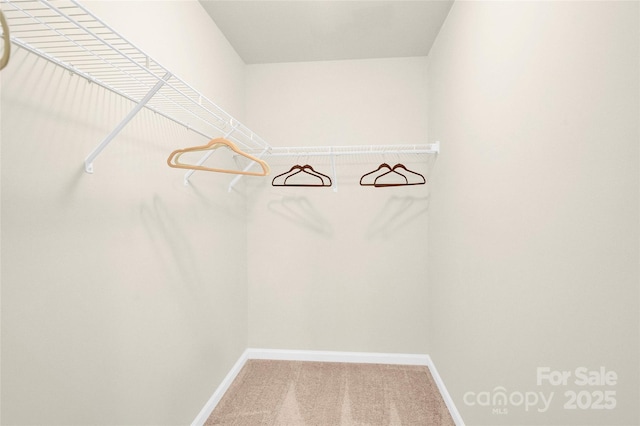 12217 Dearview Ln, Charlotte, NC 28269 - spacious closet with carpet flooring
