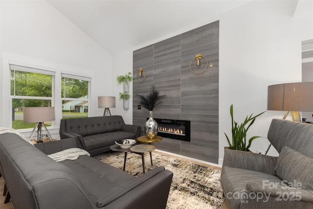 6824 Cortez Trl, Charlotte, NC 28227 - living room with high vaulted ceiling, a fireplace, and wood finished floors