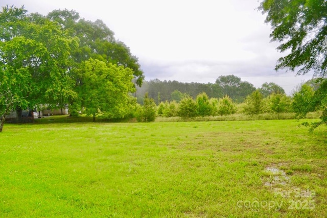view of grassy yard