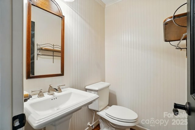 1295 Patterson St, China Grove, NC 28023 - bathroom featuring a sink, toilet, and ornamental molding