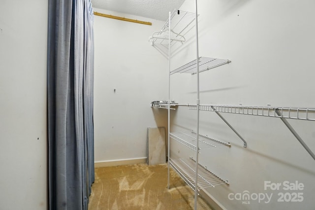1295 Patterson St, China Grove, NC 28023 - walk in closet with carpet flooring