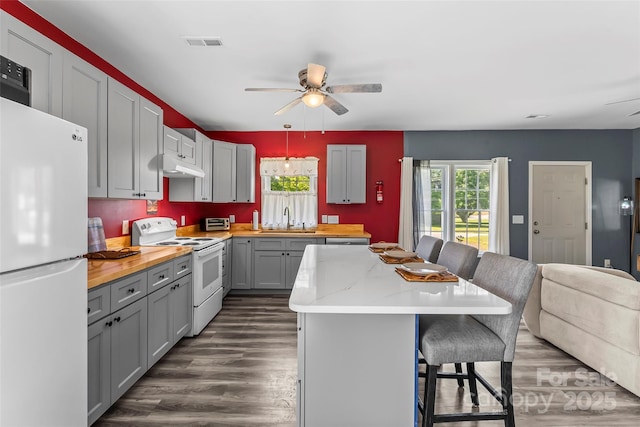 35 Telephone Exchange Rd, Hickory, NC 28601 - kitchen featuring white appliances, under cabinet range hood, gray cabinets, ceiling fan, and a sink