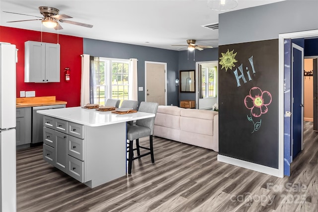 35 Telephone Exchange Rd, Hickory, NC 28601 - kitchen with ceiling fan, a kitchen bar, dark wood finished floors, and dishwasher