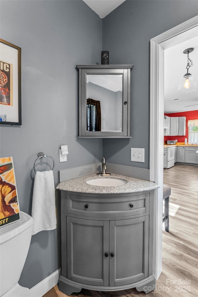 35 Telephone Exchange Rd, Hickory, NC 28601 - half bathroom with vanity, toilet, and wood finished floors