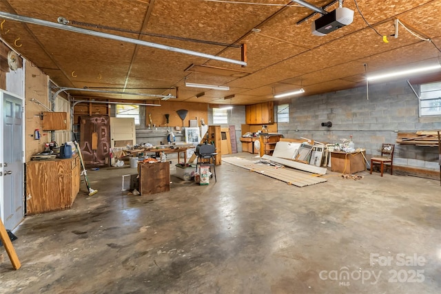 35 Telephone Exchange Rd, Hickory, NC 28601 - garage with a garage door opener, a workshop area, and concrete block wall