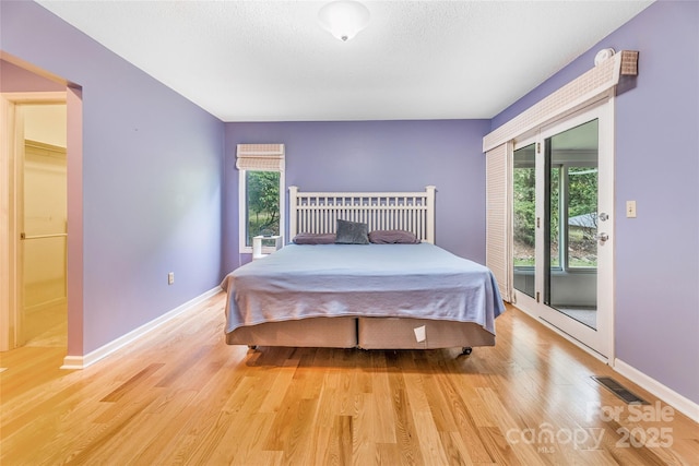 30 Robin Ln, Asheville, NC 28806 - bedroom featuring light wood-style flooring, multiple windows, and baseboards